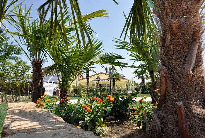 Locanda Del Lupo Faenza Exterior foto